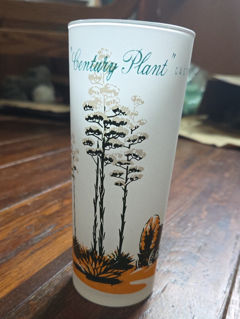 Century Plant Frosted Glass Tumbler Yucca Agave White with Black & Orange Design